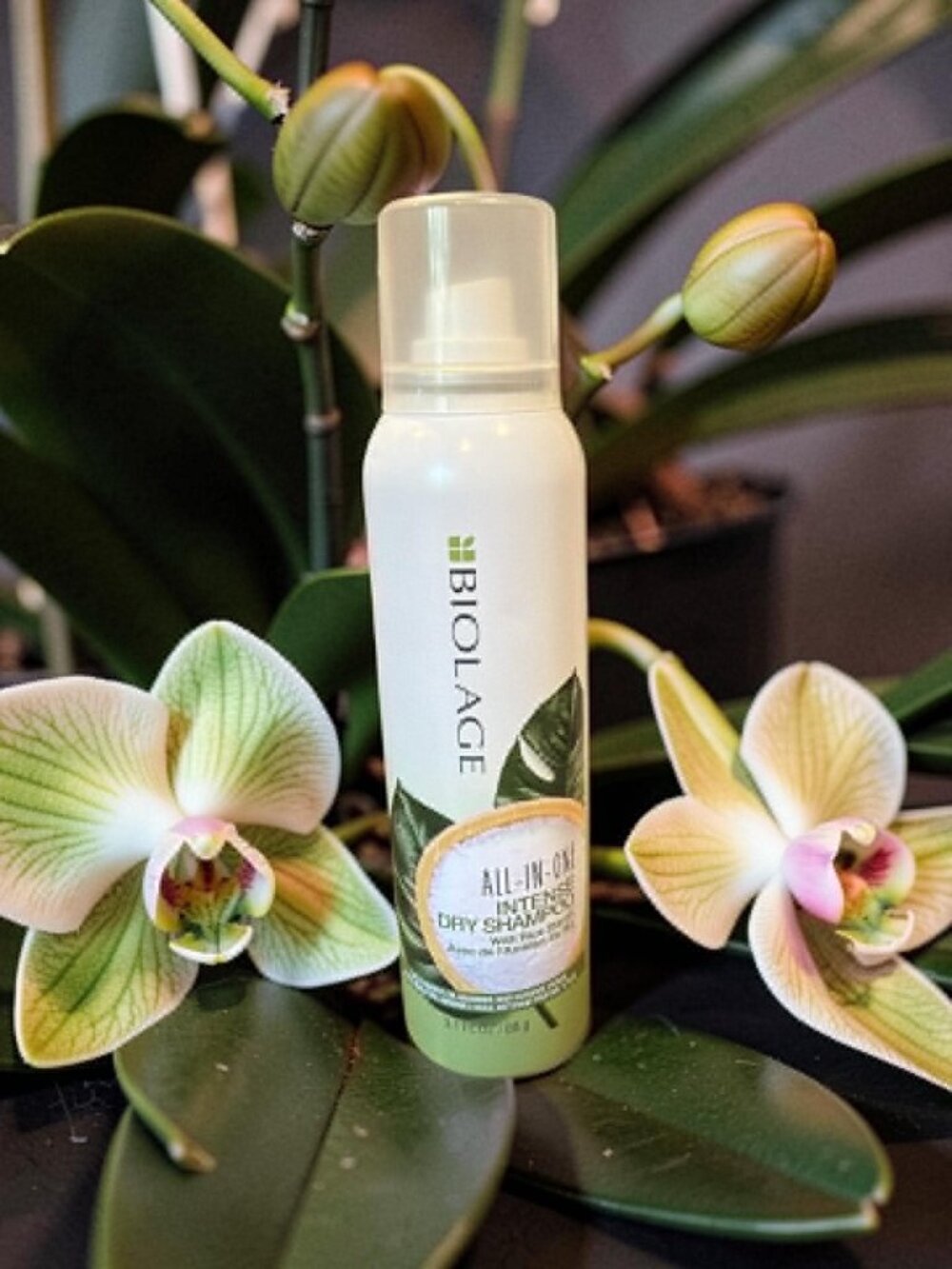 Biolage All In One Intense Dry Shampoo with Rice Starch 3.1 oz